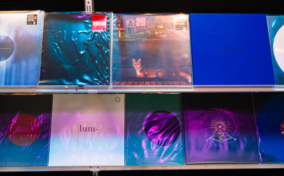 Albumų viršeliai vėl dėmesio centre: startuoja 2025 metų rinkimai